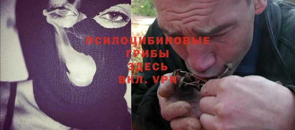 индика Алзамай