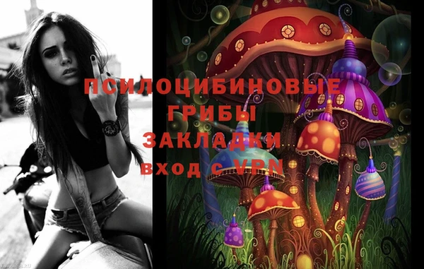 индика Алзамай