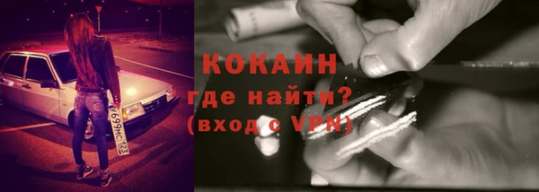 индика Алзамай