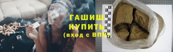 индика Алзамай