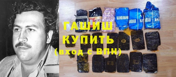индика Алзамай