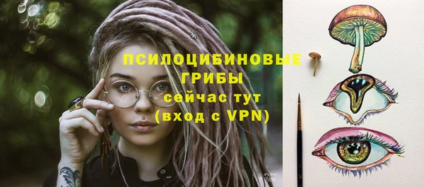 герыч Алексин